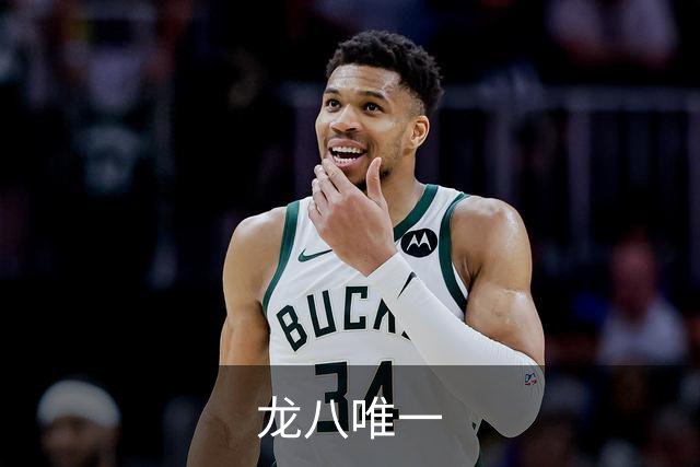 龙八唯一公司简介
